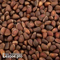 Лот: 23692284. Фото: 1. Кедровый орех, отборный вкусный... Ягоды, орехи