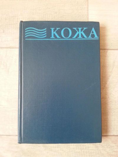 Лот: 7092615. Фото: 1. Книга "Кожа". Традиционная медицина