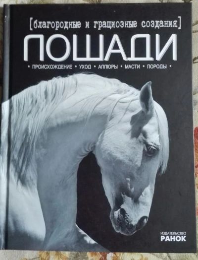 Лот: 11122991. Фото: 1. Энциклопедия лошади. Познавательная литература