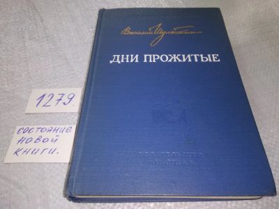 Лот: 19107928. Фото: 1. Дни прожитые | Шулейкин В. В... Мемуары, биографии