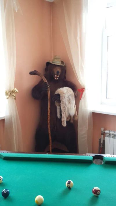 Лот: 22167028. Фото: 1. Продам чучело имитация бурого... Другое (туризм, охота, рыбалка, самооборона)