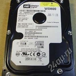Лот: 1760906. Фото: 1. Жесткий диск Western Digital wd800... Жёсткие диски (HDD)