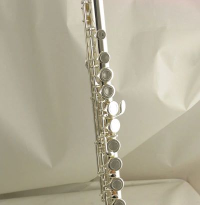 Лот: 3713374. Фото: 1. Флейта Wisemann DFL-385. Духовые