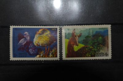 Лот: 3851903. Фото: 1. 1975 фауна СССР-Турухтан и Кабарга... Марки