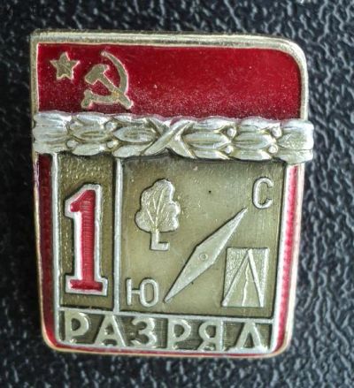 Лот: 8956932. Фото: 1. Знак "1 разряд". Спортивное ориентирование... Другое (значки, медали, жетоны)