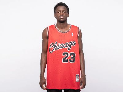 Лот: 24976642. Фото: 1. Джерси Nike Chicago Bulls. Футболки, поло