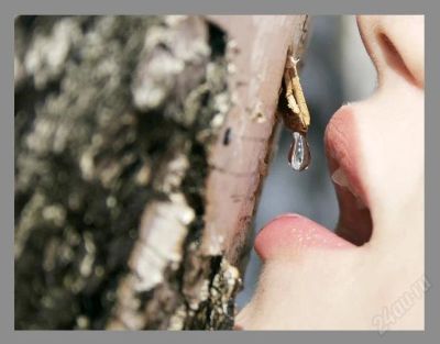 Лот: 2763616. Фото: 1. Сок березовый. Напитки