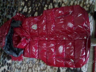 Лот: 1810096. Фото: 1. жилет moncler. Другое (одежда, обувь, галантерея)