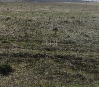 Лот: 25296541. Фото: 1. участок , СНТ Дружба СНТ Дружба... Земельные участки