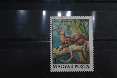 Лот: 3990268. Фото: 1. марка 62 Венгрия 1979 г фауна. Марки