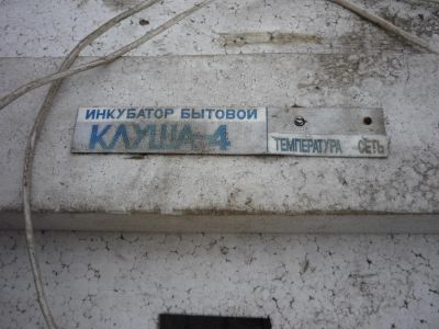 Лот: 7192738. Фото: 1. инкубатор "клуша" бу. Другое (для дачи, дома, огорода, бани, парка)