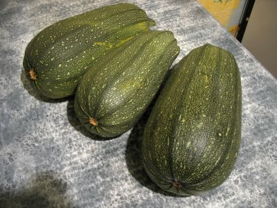 Лот: 4624556. Фото: 1. КабачОК. Овощи, фрукты, зелень