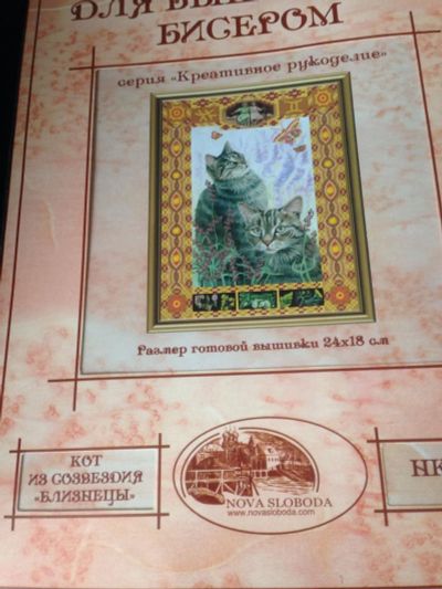 Лот: 6941996. Фото: 1. Близнецы. Вышивание