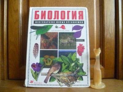 Лот: 25720044. Фото: 1. Захаров В. Б., Сонин Н. И. Биология... Для школы