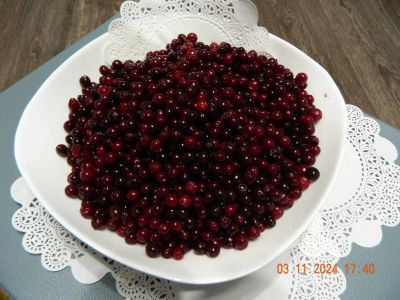 Лот: 24556721. Фото: 1. Брусника таежная, экологически... Ягоды, орехи