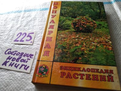 Лот: 18443296. Фото: 1. Oz. Смирнов Ю.И. Популярная энциклопедия... Энциклопедии