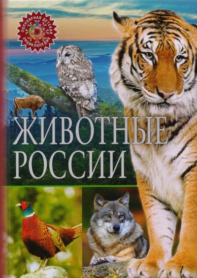 Лот: 21376372. Фото: 1. Животные России. Познавательная литература