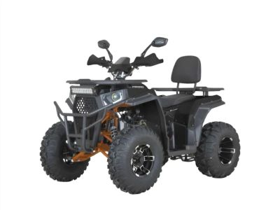 Лот: 25788083. Фото: 1. Квадроцикл DAZZLE ATV200 Lux. Снегоходы, квадроциклы