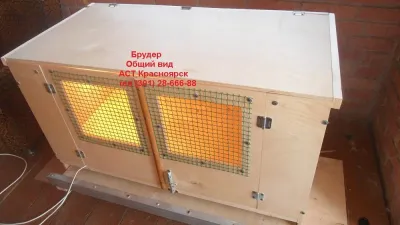 Лот: 11261867. Фото: 1. Брудер – трансформер для цыплят... Инкубаторы