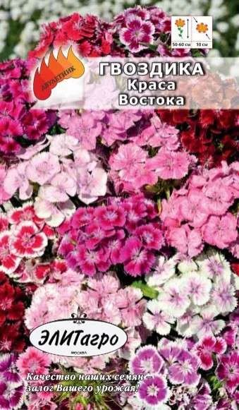 Лот: 11024751. Фото: 1. Гвоздика тур.махр. Краса Востока... Садовые цветы
