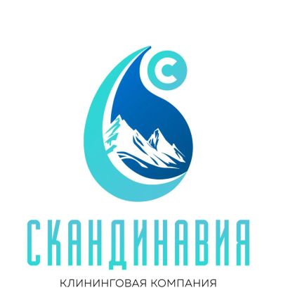 Лот: 11461239. Фото: 1. Уборка - клининг - Скандинавия. Другие (услуги)