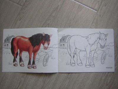 Лот: 6935197. Фото: 1. Книга "Животные". Художественная