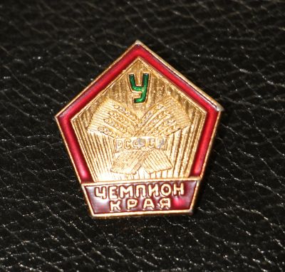 Лот: 4007766. Фото: 1. Знак Чемпион края. ДСО Урожай... Сувенирные