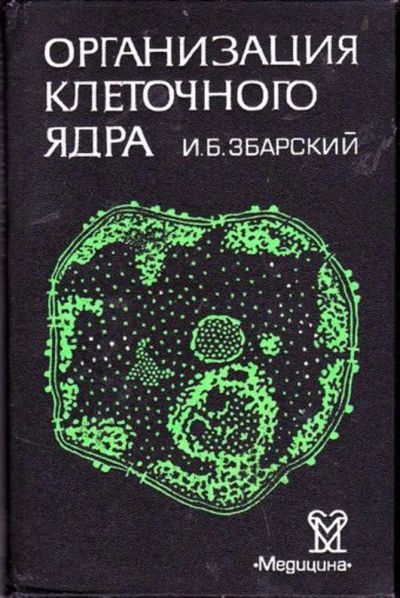 Лот: 23446568. Фото: 1. Организация клеточного ядра. Биологические науки