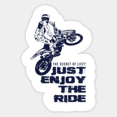 Лот: 12099875. Фото: 1. Наклейки / Just enjoy the ride. Наклейки автомобильные