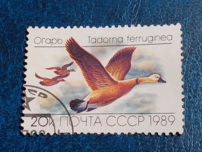 Лот: 25592022. Фото: 1. - Марки для Вашей коллекции. лот... Марки