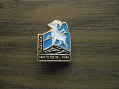 Лот: 19286149. Фото: 1. Значок СССР Таймыр. Чубук. Сувенирные