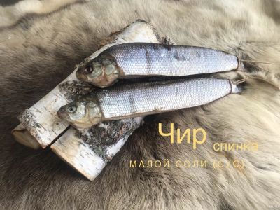 Лот: 14325322. Фото: 1. Чир С/С. Икра, рыба, морепродукты
