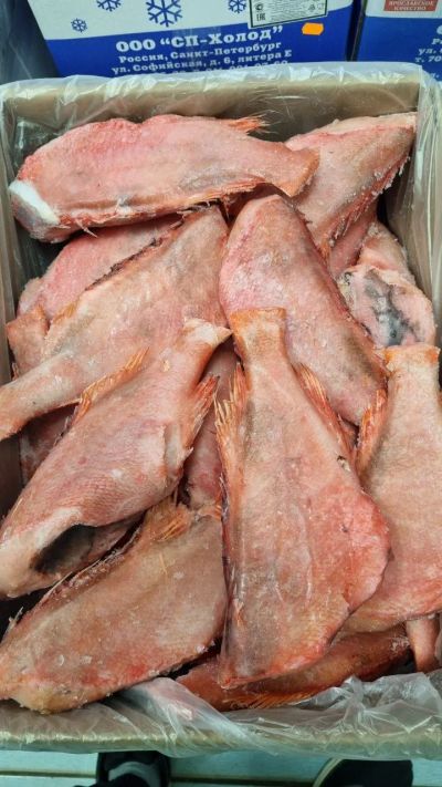 Лот: 20763631. Фото: 1. Морской окунь б/г с/м / тушка. Икра, рыба, морепродукты
