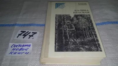 Лот: 16775099. Фото: 1. (4092304) В. Шукшин, Калина красная... Художественная