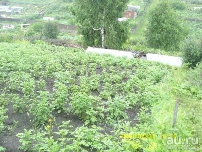 Лот: 9514525. Фото: 1. Продам дачный участок на Кузнецовском... Земельные участки