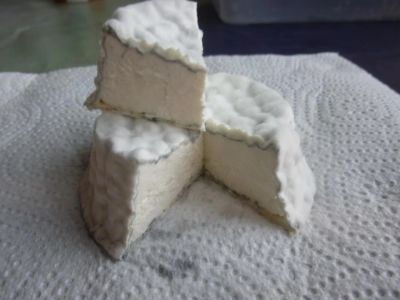 Лот: 8195772. Фото: 1. Авторский сыр из козьего молока... Молоко и молочные продукты
