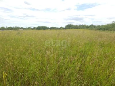Лот: 25284525. Фото: 1. участок , посёлок Минино посёлок... Земельные участки