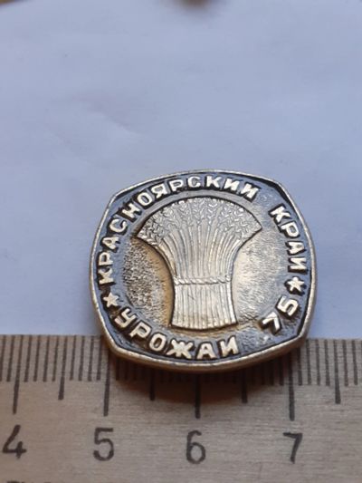 Лот: 18398842. Фото: 1. ( №12160) значки Красноярск,Красноярский... Сувенирные