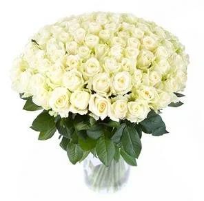 Лот: 4508754. Фото: 1. Букет 15 белая Эквадорская роза... Свежие цветы