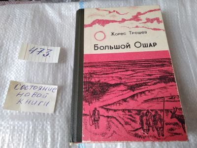 Лот: 15646157. Фото: 1. Жорес Трошев, Большой Ошар, В... Художественная