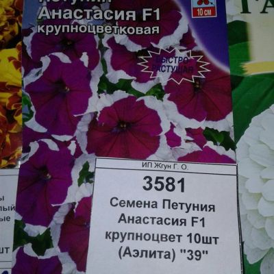 Лот: 9115718. Фото: 1. Семена / цветы / Петуния / Анастасия... Садовые цветы