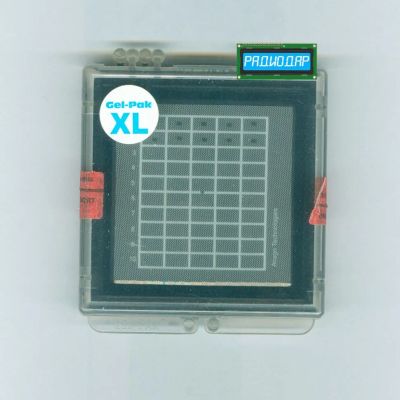 Лот: 24392441. Фото: 1. AMMC-2008-W10 - SPDT ВЧ коммутатор... Микросхемы