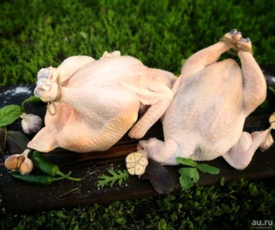 Лот: 13989931. Фото: 1. Домашняя курица (бройлер) уборка... Мясо, птица, яйцо