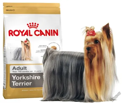 Лот: 19345795. Фото: 1. Royal Canin Yorkshire Terrier... Корма