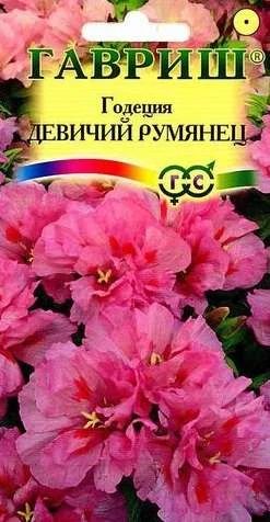Лот: 11024298. Фото: 1. Годеция Девичий румянец* 0,1 г. Садовые цветы
