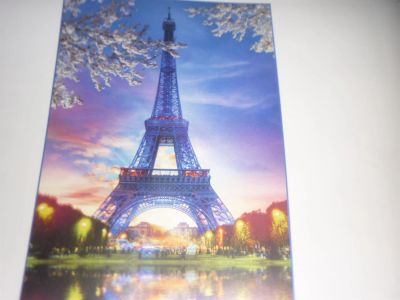 Лот: 3360141. Фото: 1. продам фото обои с рубля(париж... Обои, панели, ДВП, ДСП, МДФ