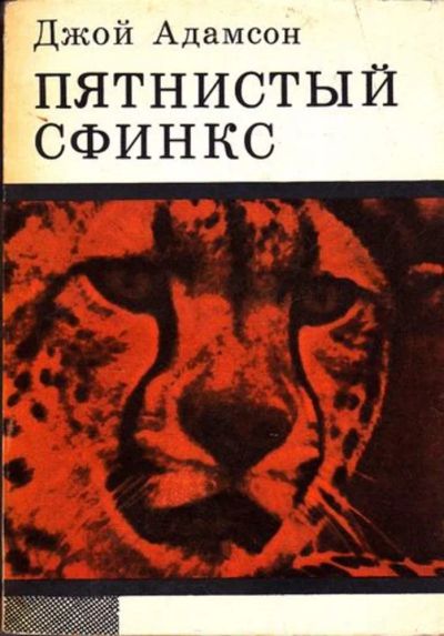Лот: 23445708. Фото: 1. Пятнистый сфинкс. Домашние животные