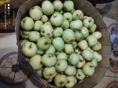 Лот: 18021997. Фото: 1. яблоки белый налив. Овощи, фрукты, зелень