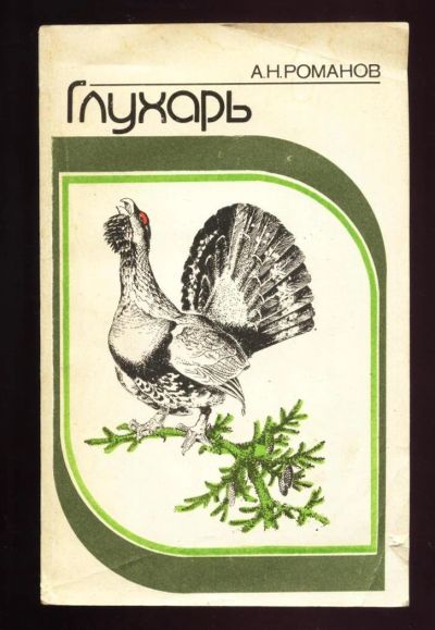 Лот: 11657794. Фото: 1. Романов А.Н. Глухарь * 1988 года... Другое (охота)