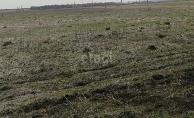 Лот: 25296491. Фото: 1. участок , СНТ Дружба СНТ Дружба... Земельные участки